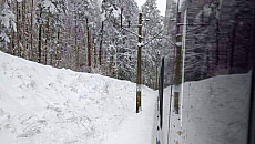 Mróz unieruchomił część pociągów Polregio. Na trasy regionu wyjechały autobusy Mróz unieruchomił część pociągów Polregio. Na trasy regionu wyjechały autobusy